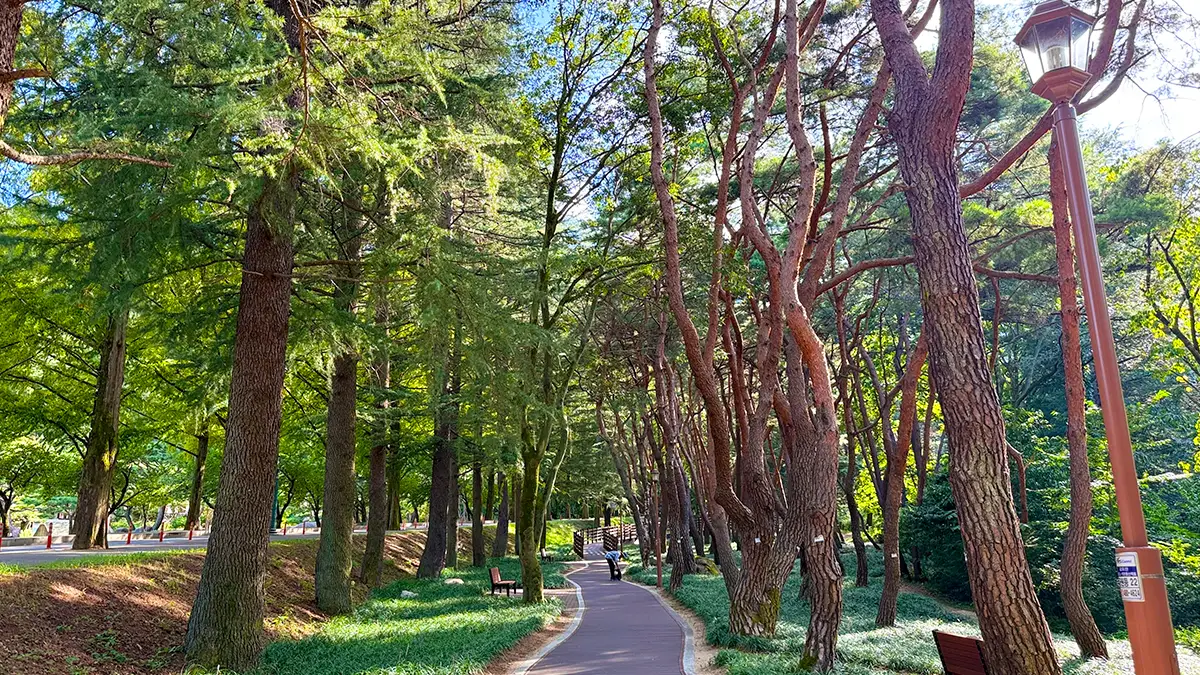 금오산 에코힐링숲