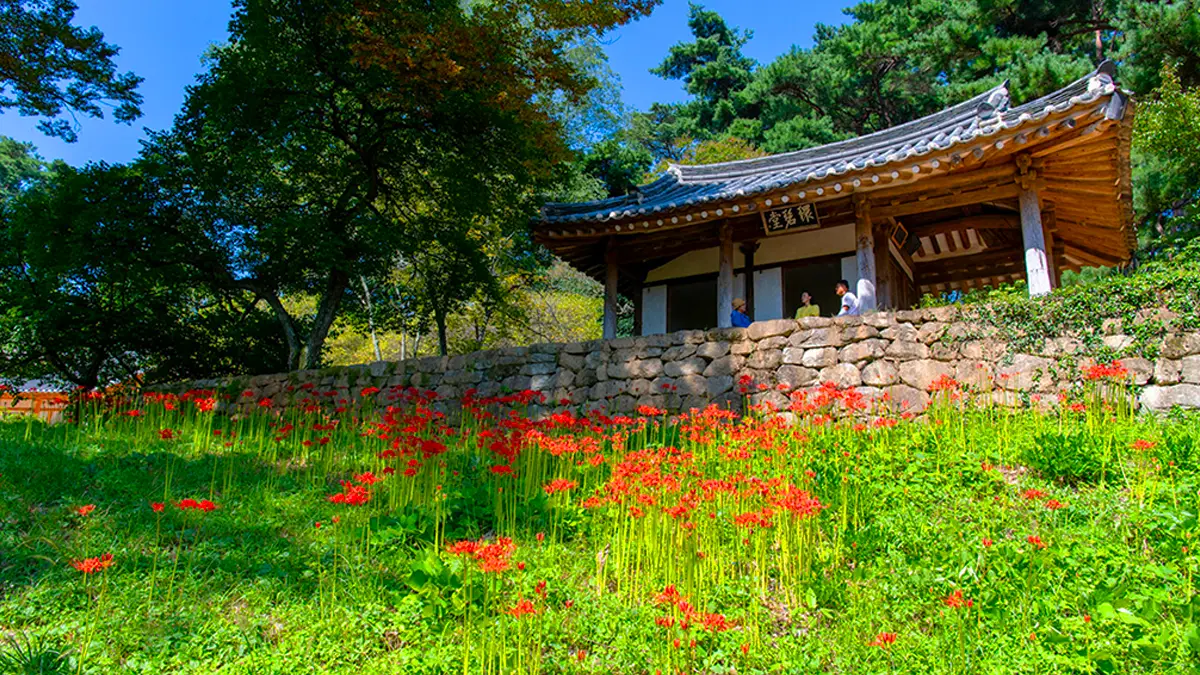 환벽당 가을 명소