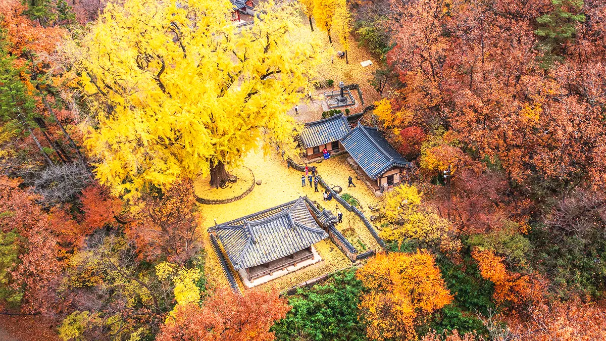 운곡서원 운곡서원