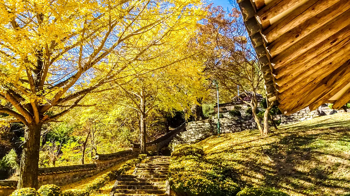 함안향교 돌계단