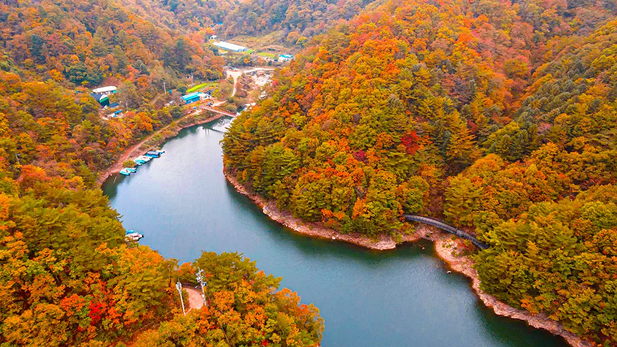 비수구미 가을 전경