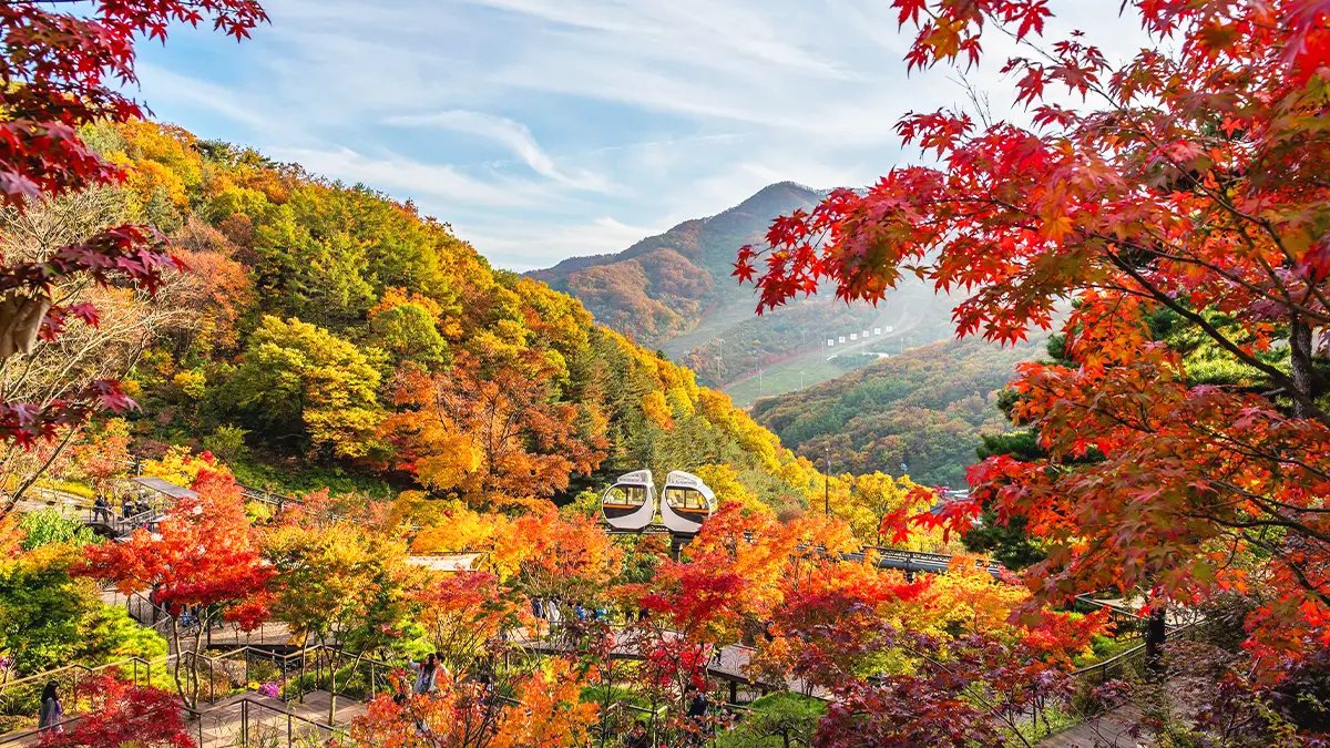 화담숲 가을 풍경