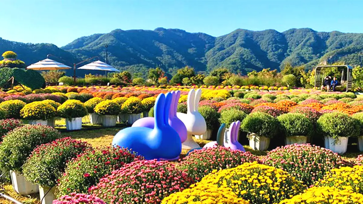 붕어섬 생태공원 붕어섬 생태공원