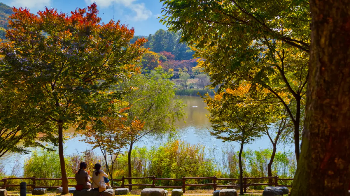 인천대공원 가을 인천대공원 가을