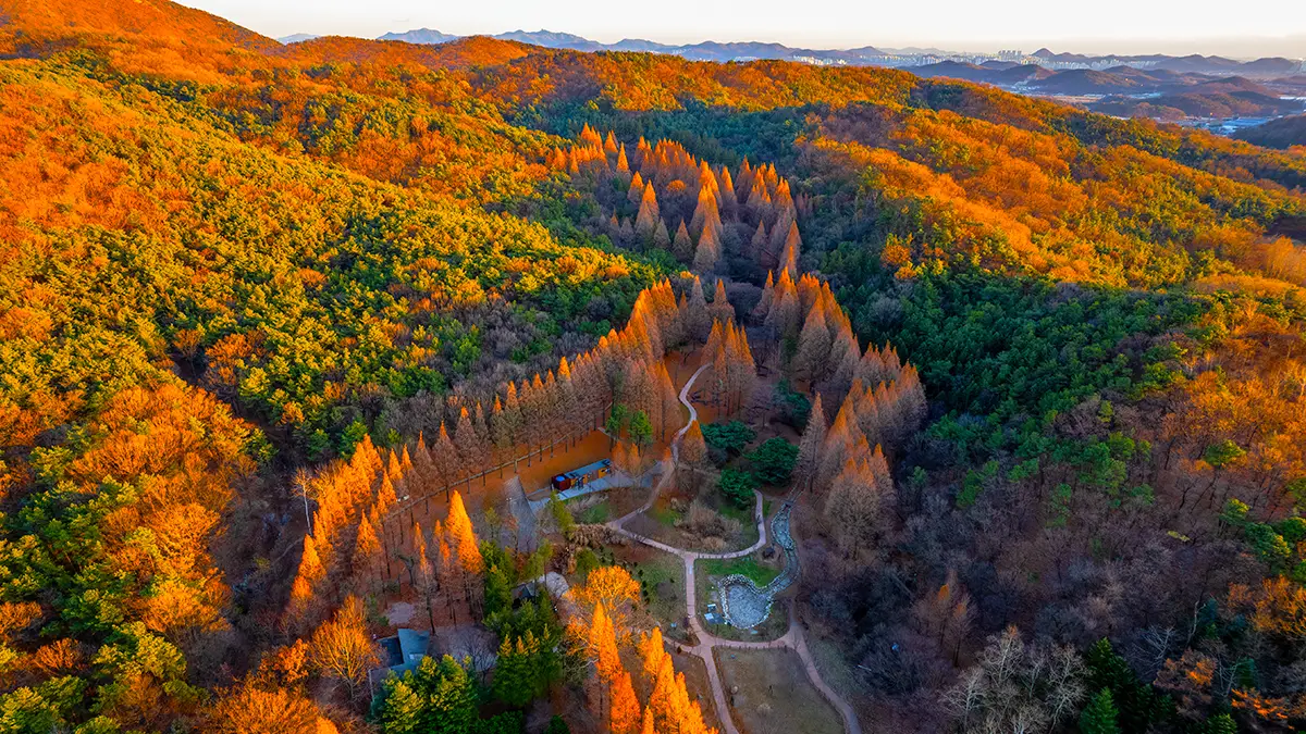 인천대공원 항공샷 인천대공원 항공샷