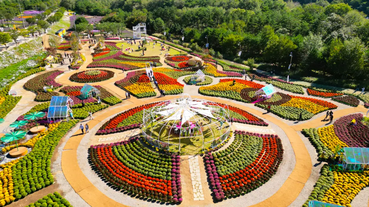 인제 가을꽃 축제 전경
