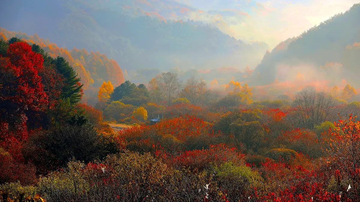 비밀의 정원 가을 풍경
