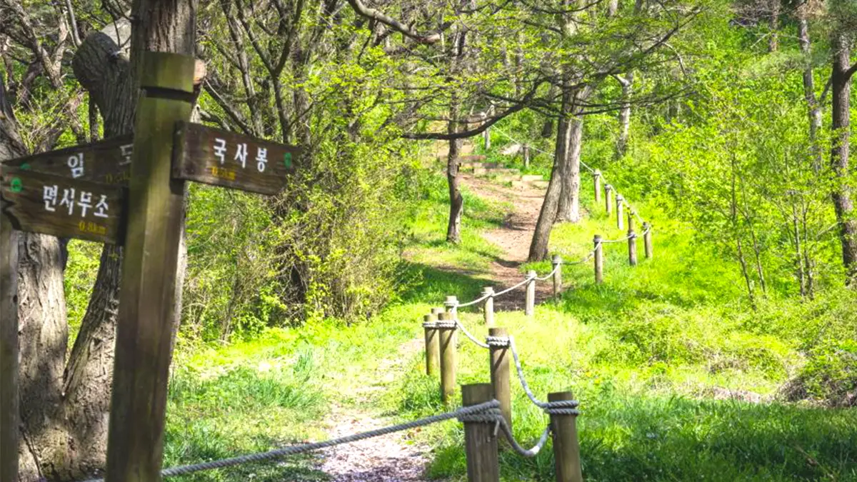국사봉 올라가는 길 국사봉 올라가는 길
