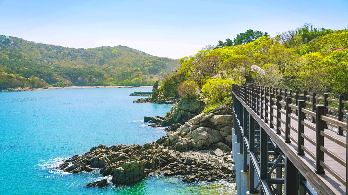 자월도 구름다리