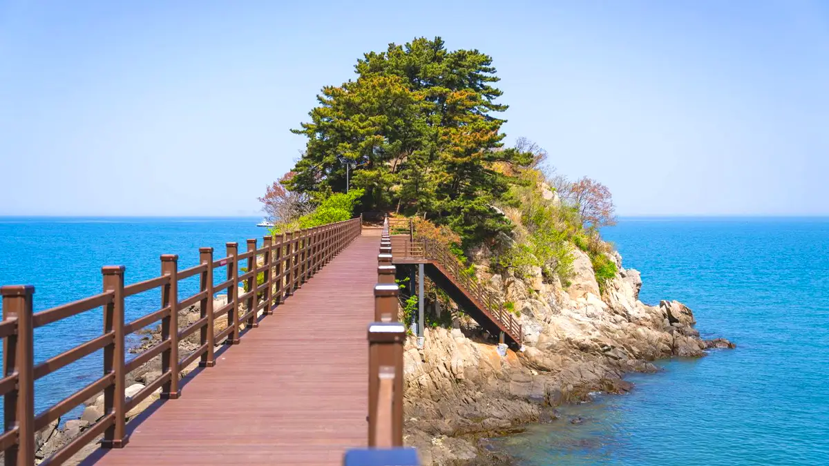 자월도에서 목섬 가는 길 자월도에서 목섬 가는 길