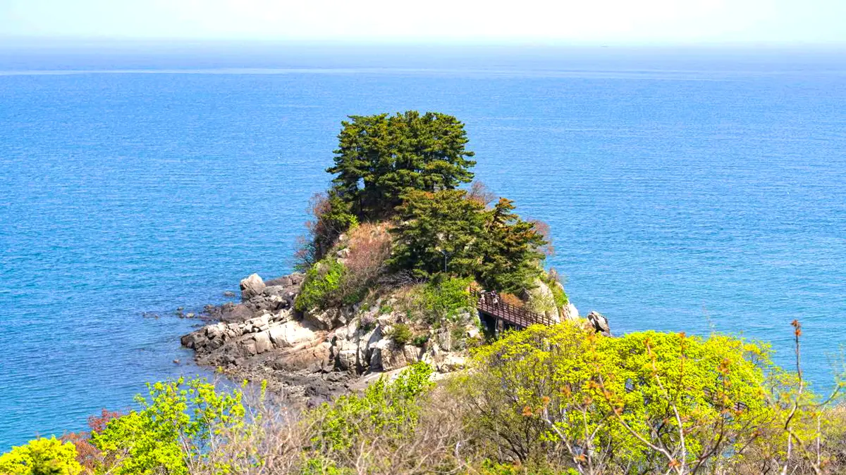 목섬 전경 목섬 전경