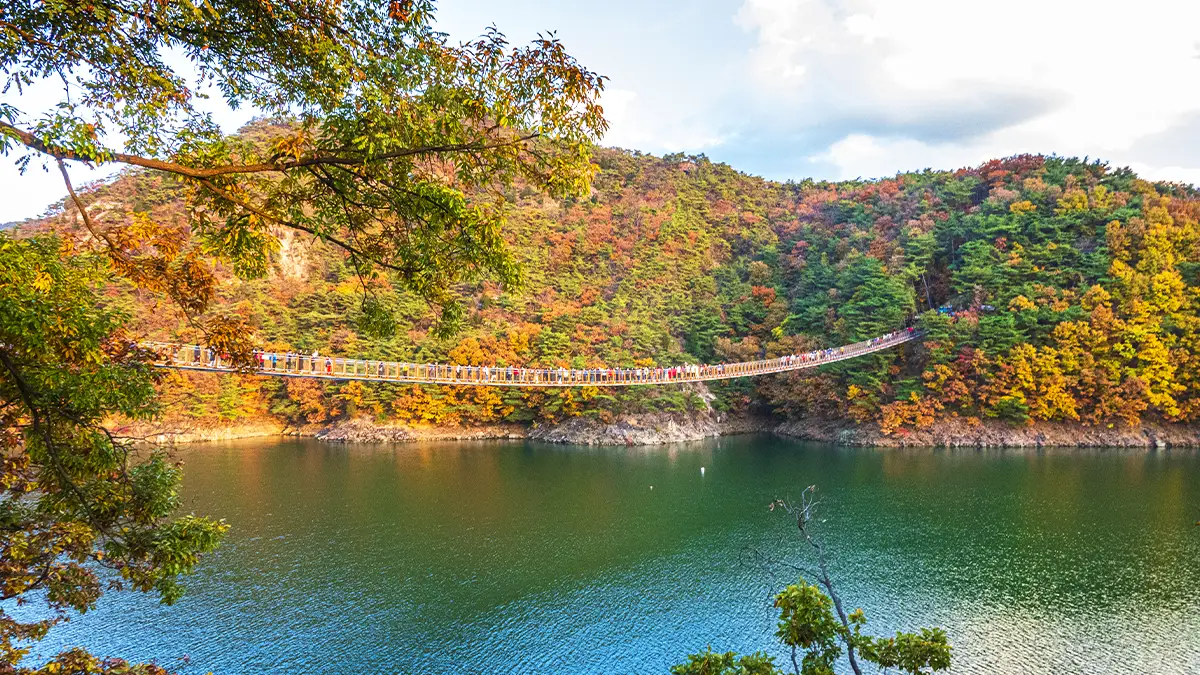 가을 옥순봉 출렁다리