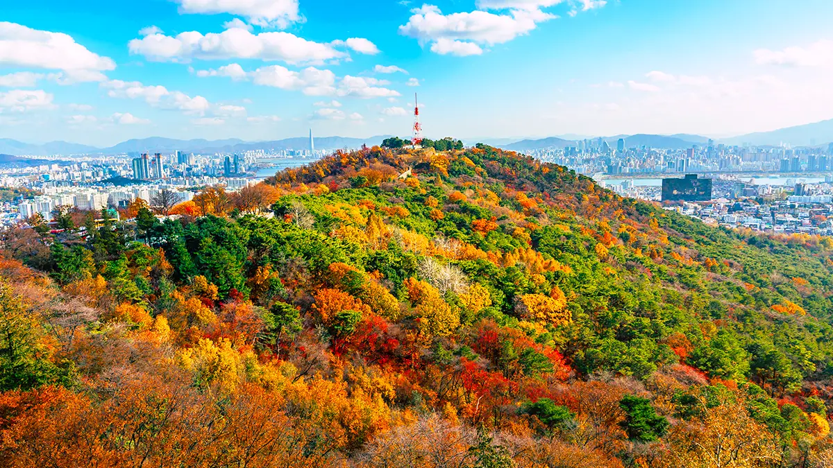 남산 가을 전경