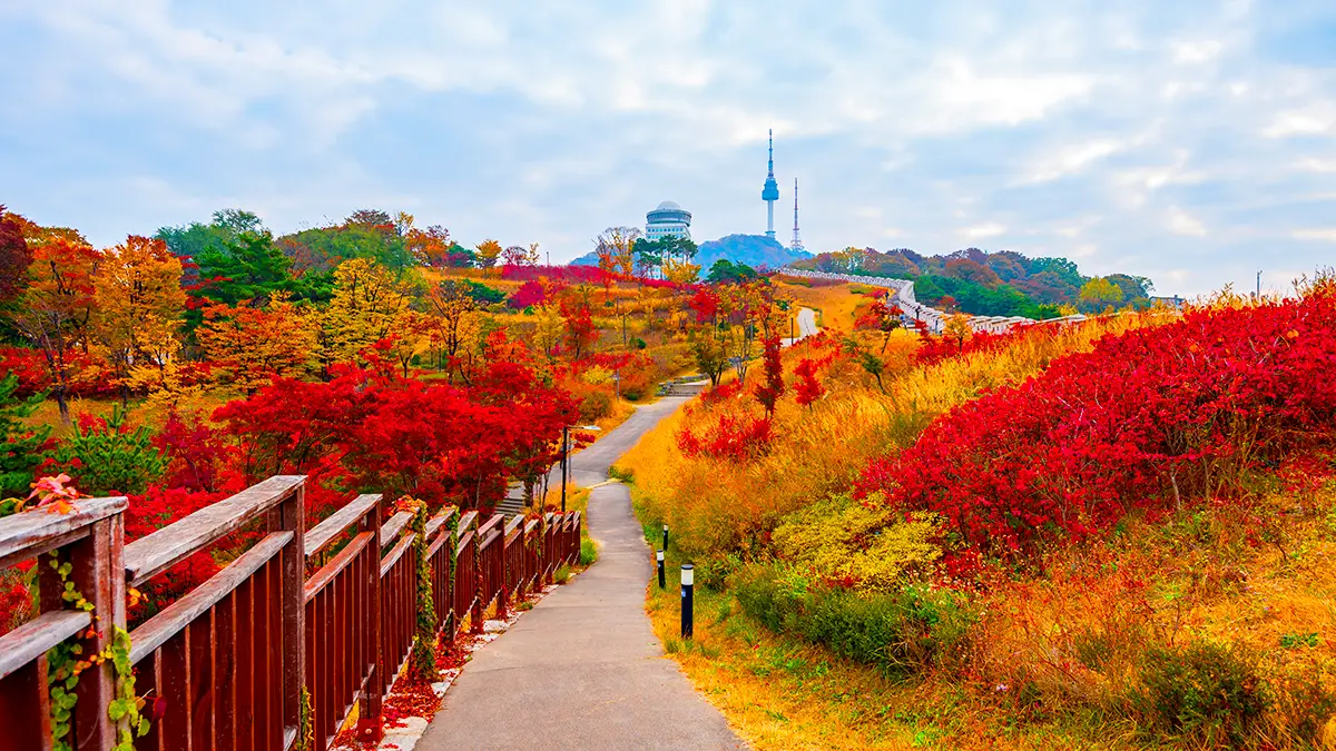 남산 가을 단풍 산책길
