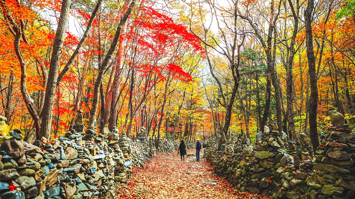 노추산 모정탑길 트레킹