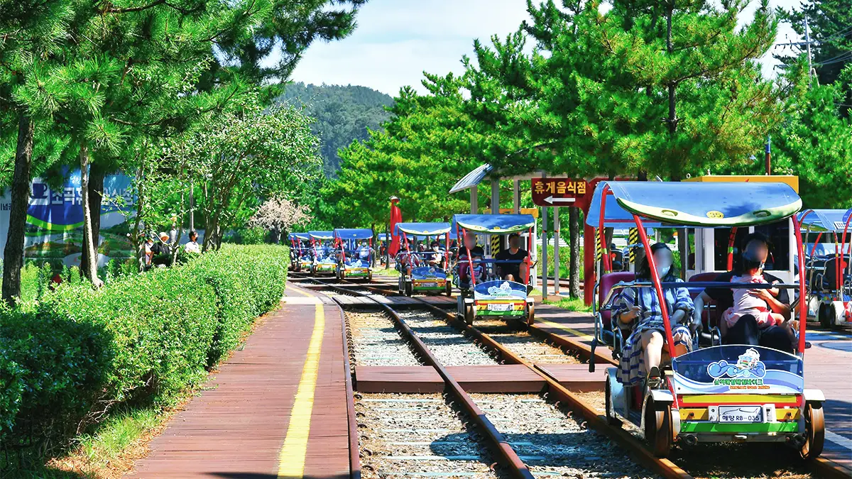 삼척 해양레일바이크