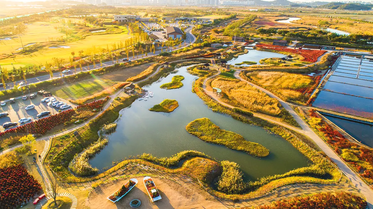 시흥 갯골생태공원 전경