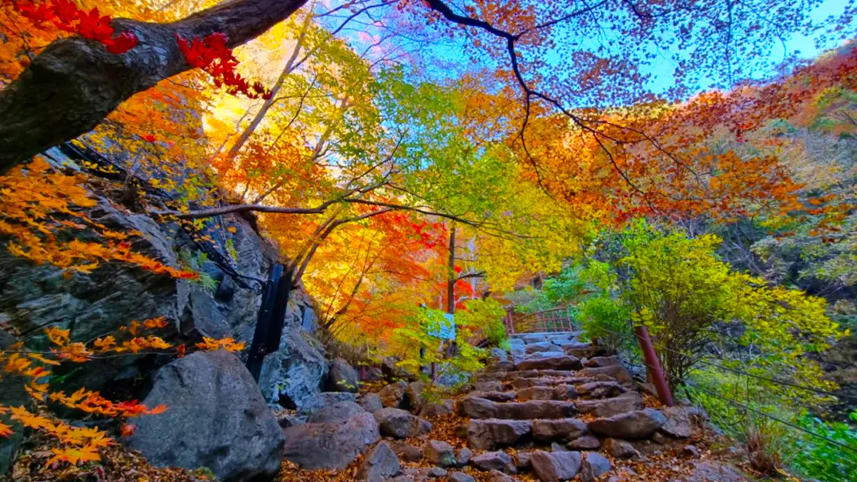 희방폭포 가는 길 희방폭포 가는 길