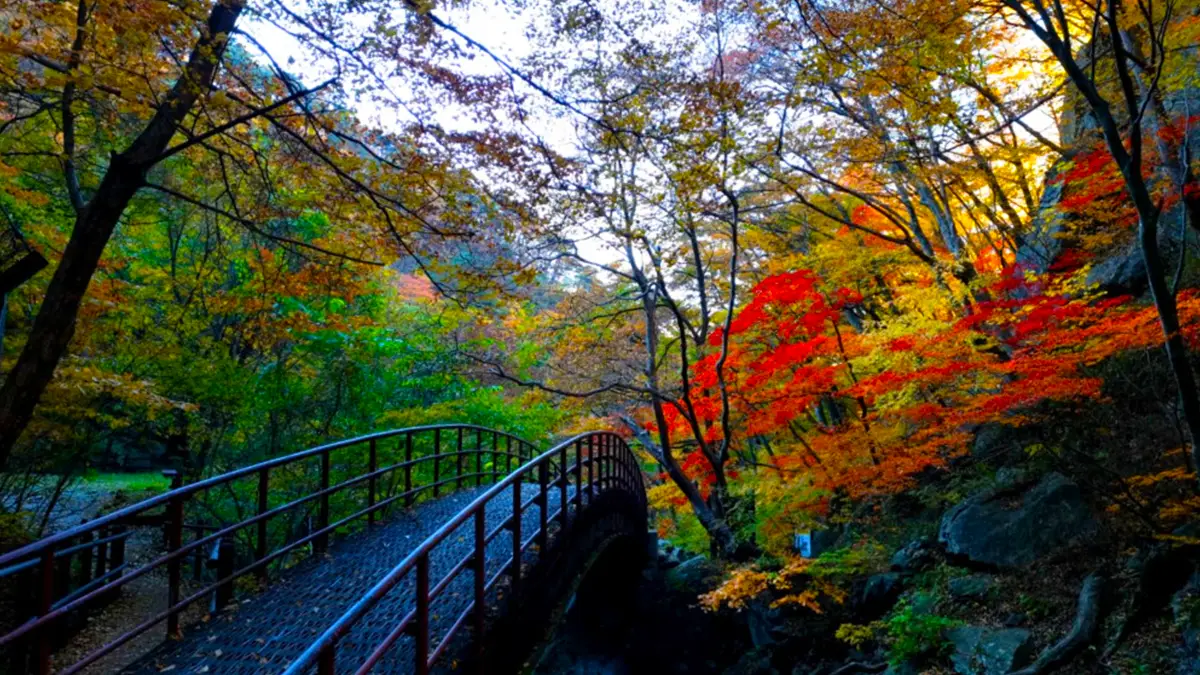 희방폭포 구름다리 희방폭포 구름다리