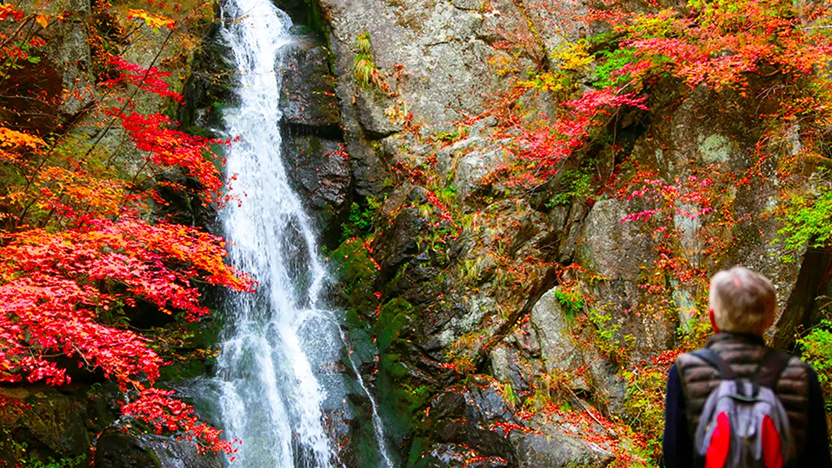 희방폭포 가을 희방폭포 가을