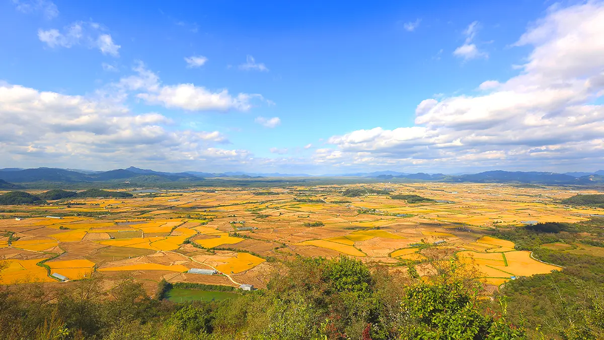 소이산 전망대에서 바라본 풍경
