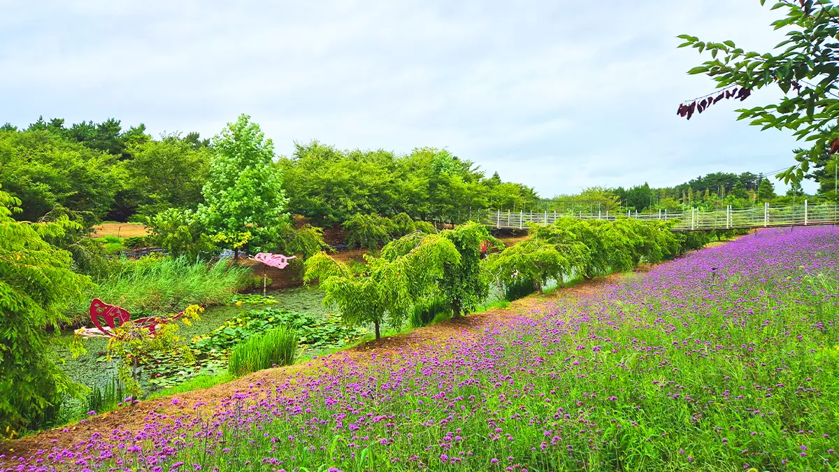 네이처월드 네이처월드