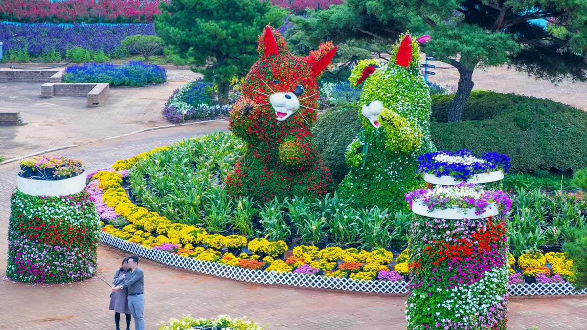 2024 태안 가을꽃박람회 모습 2024 태안 가을꽃박람회 모습