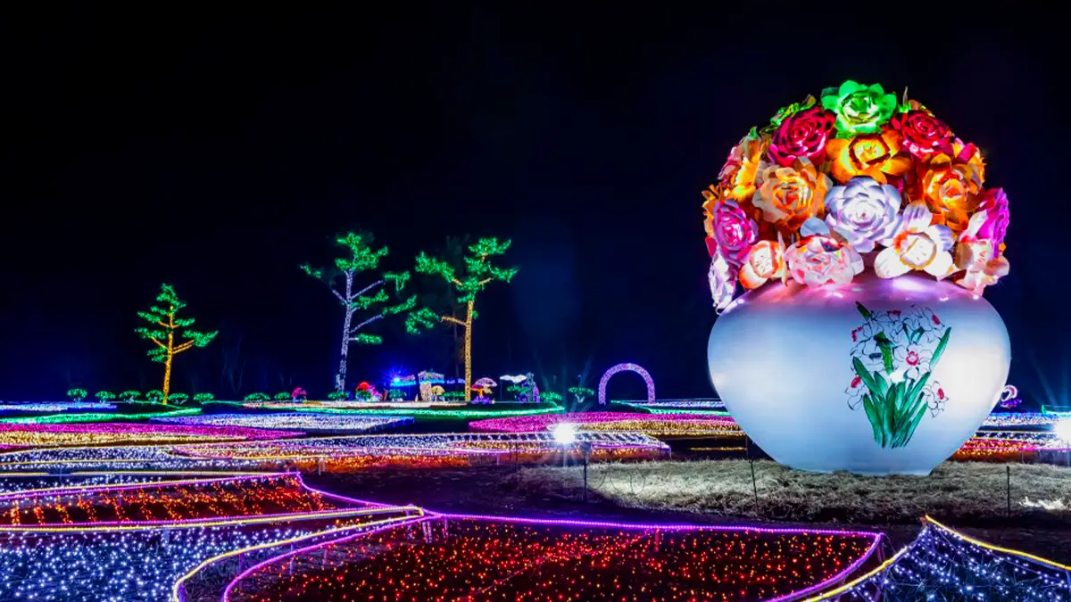 네이처월드 빛축제 네이처월드 빛축제