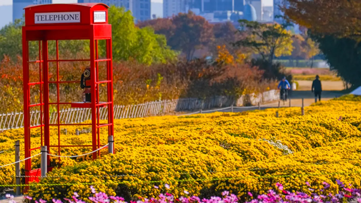 태화강국가정원 가을 전경 태화강국가정원 가을 전경