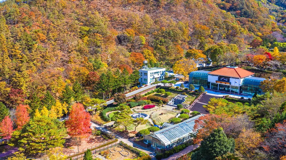 대아수목원 가을 풍경