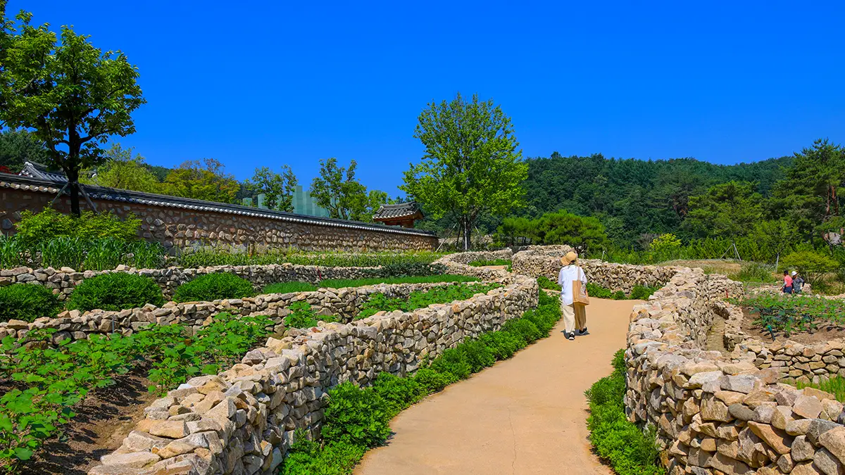 메덩골정원 남도돌담길 메덩골정원 남도돌담길