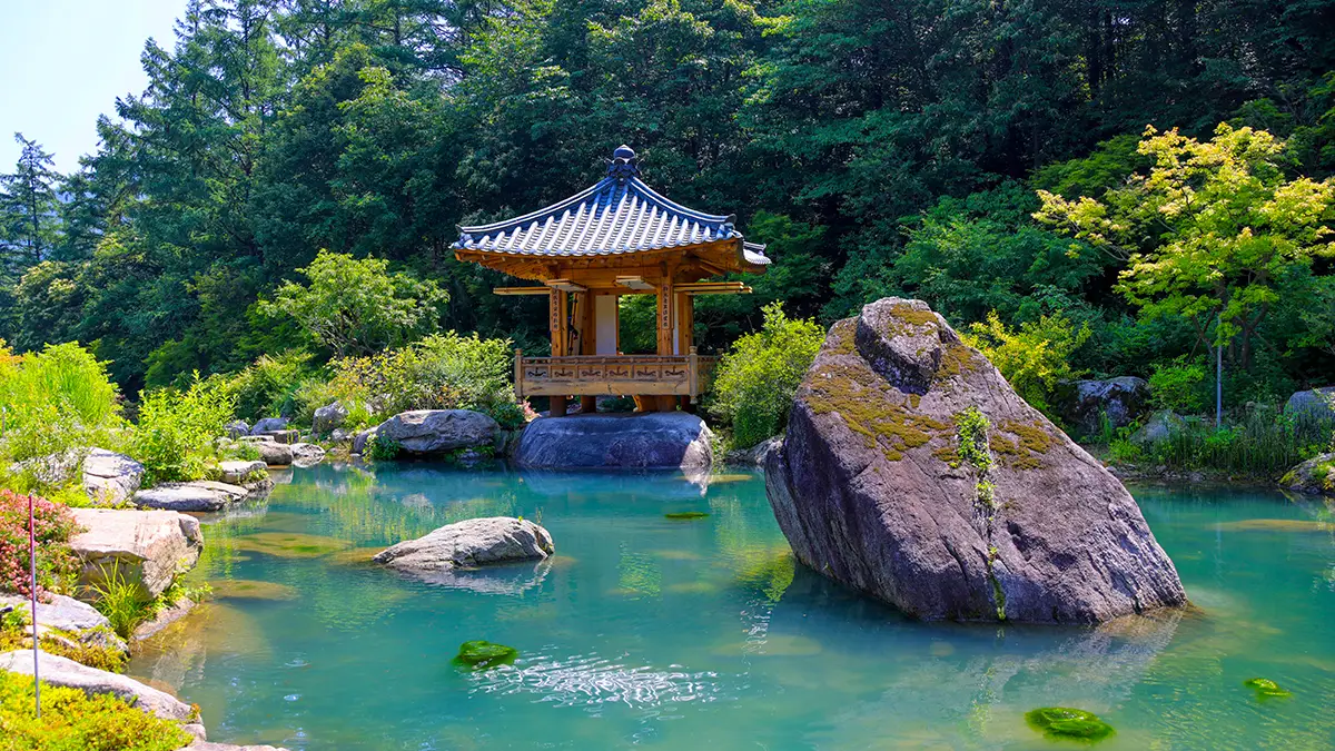 메덩골정원 용반연 연못 메덩골정원 용반연 연못