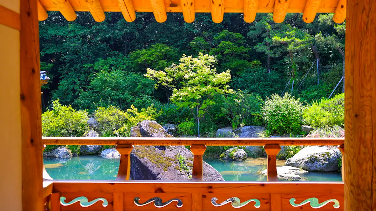 용반연 연못 용반연 연못