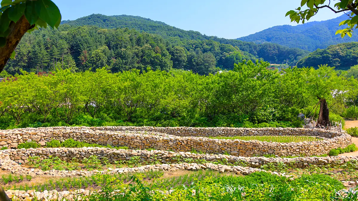 양평 메덩골정원 남도돌담길 양평 메덩골정원 남도돌담길