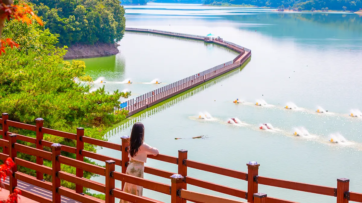 안동 선성수상길 전경