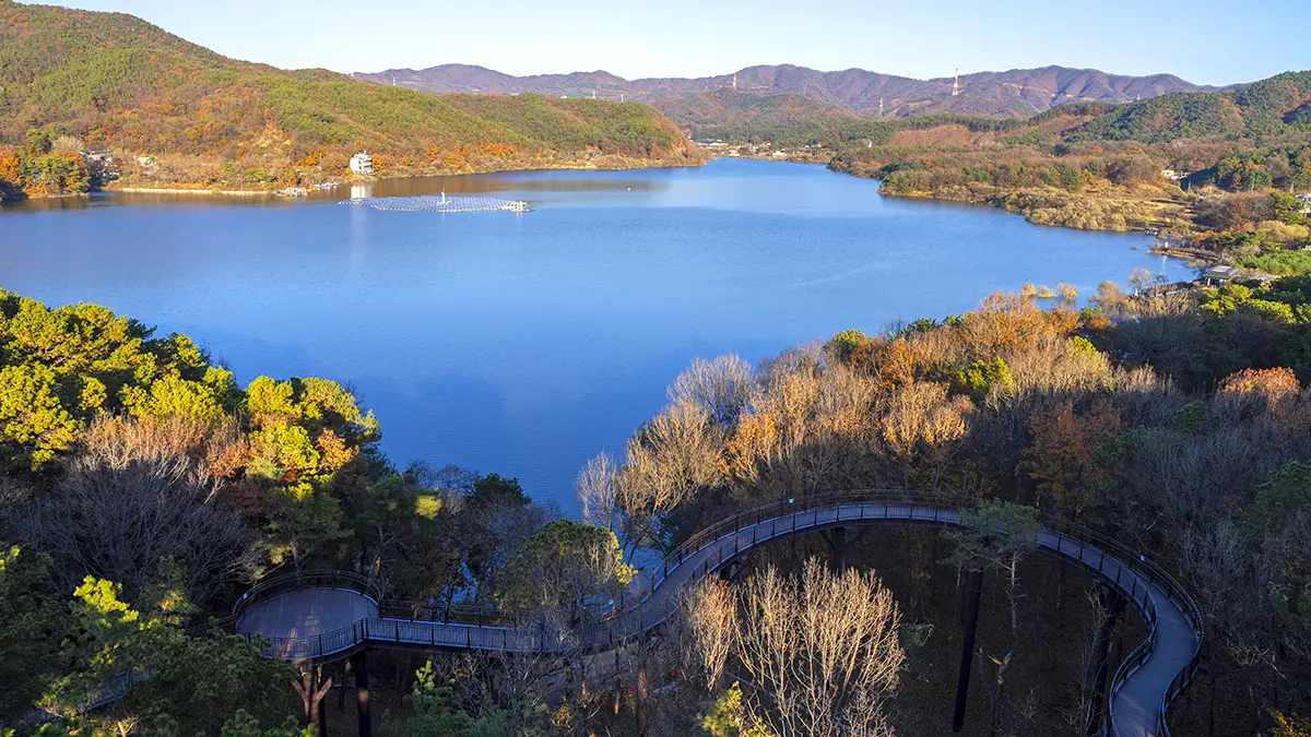 금광호수 금광호수