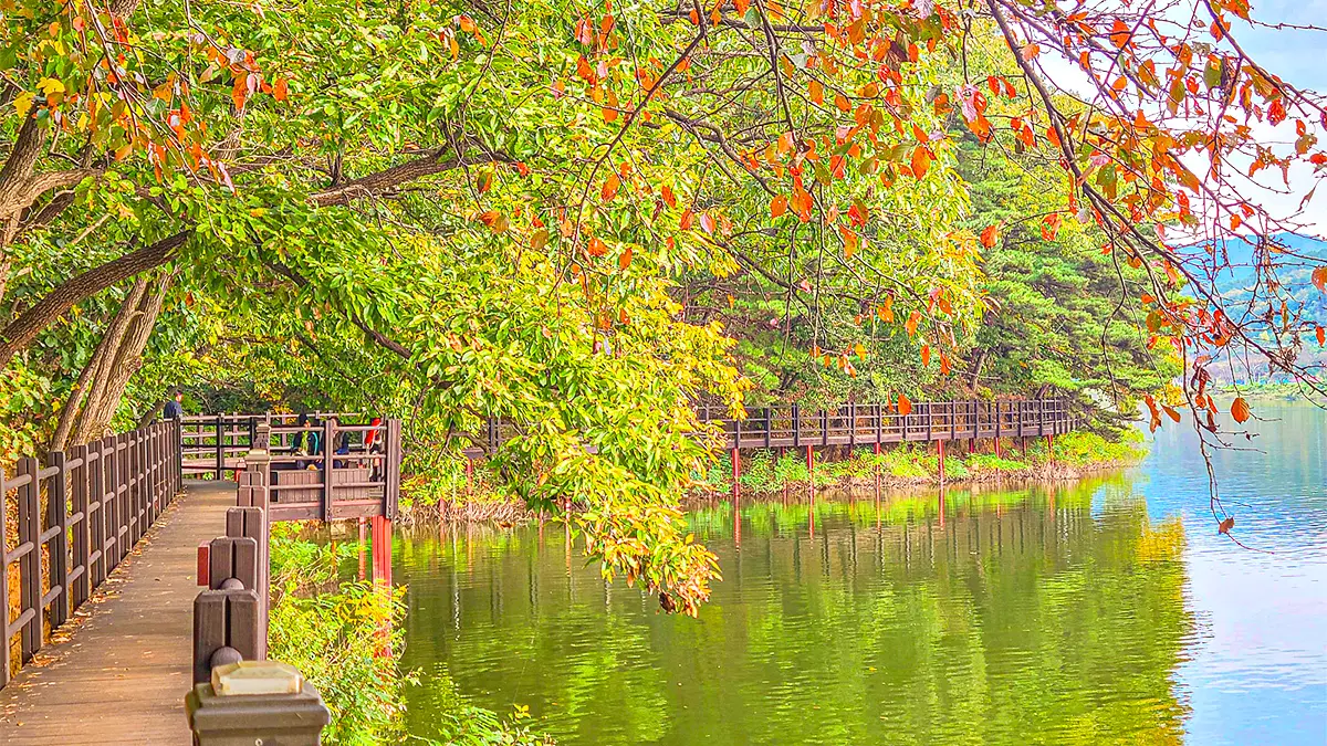 안성 금광호수 박두진 문학길 가을 풍경 안성 금광호수 박두진 문학길 가을 풍경