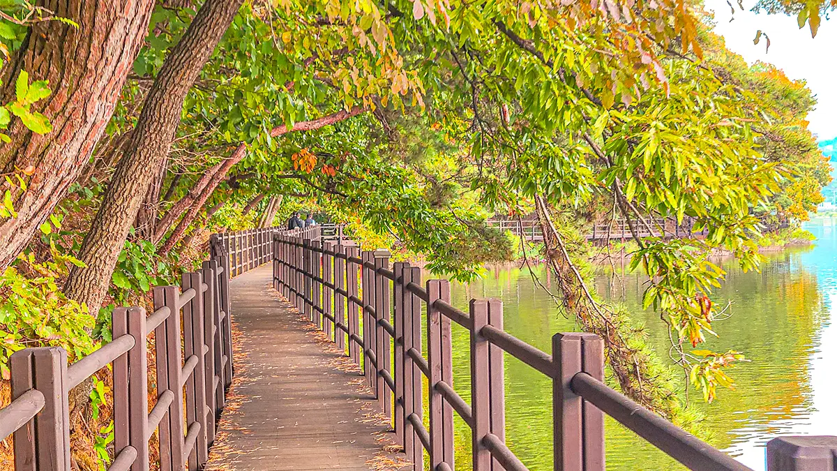 박두진문학길 풍경 박두진문학길 풍경