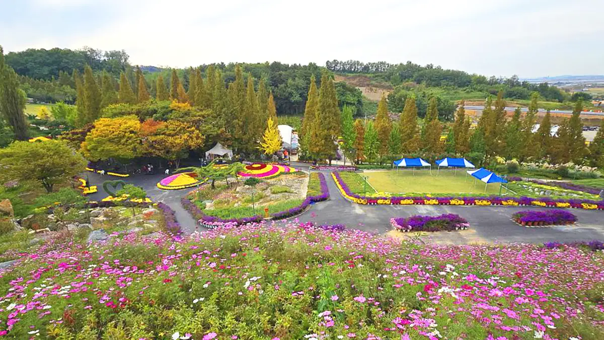 피나클랜드 가을 모습 피나클랜드 가을 모습