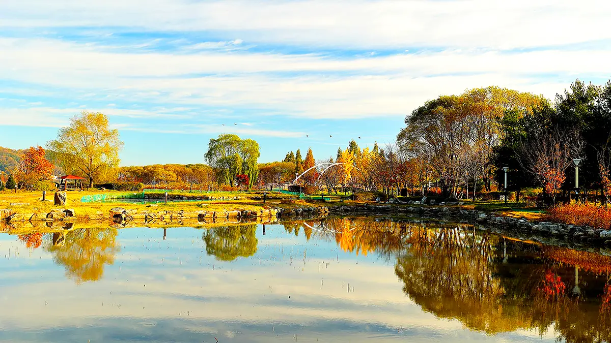 아산 신정호호수공원 전경 아산 신정호호수공원 전경