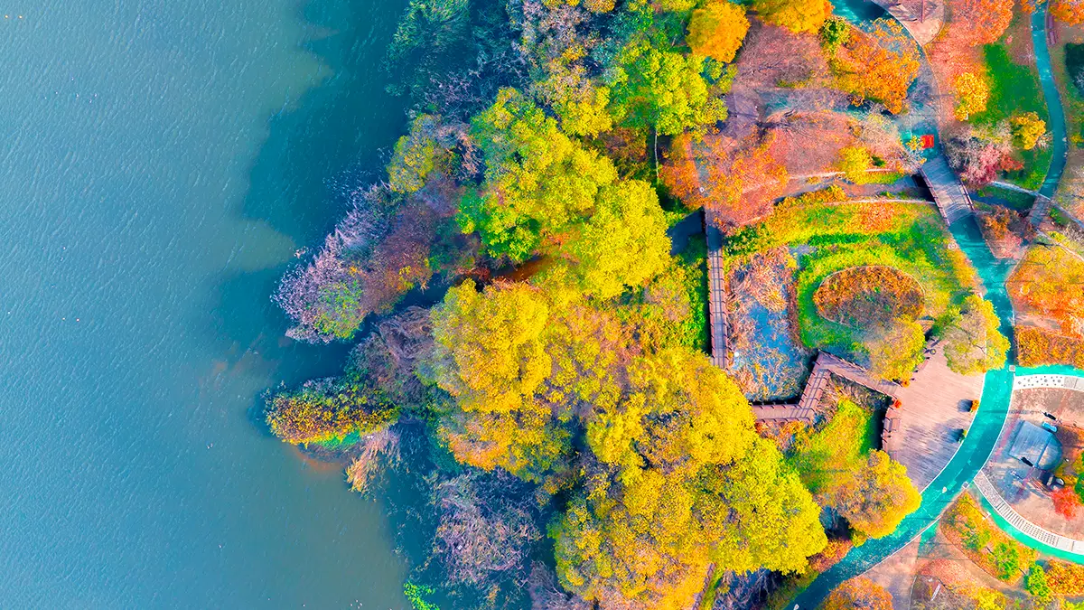 아산 신정호호수공원