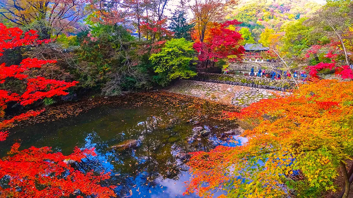 장성 백암산 백양사