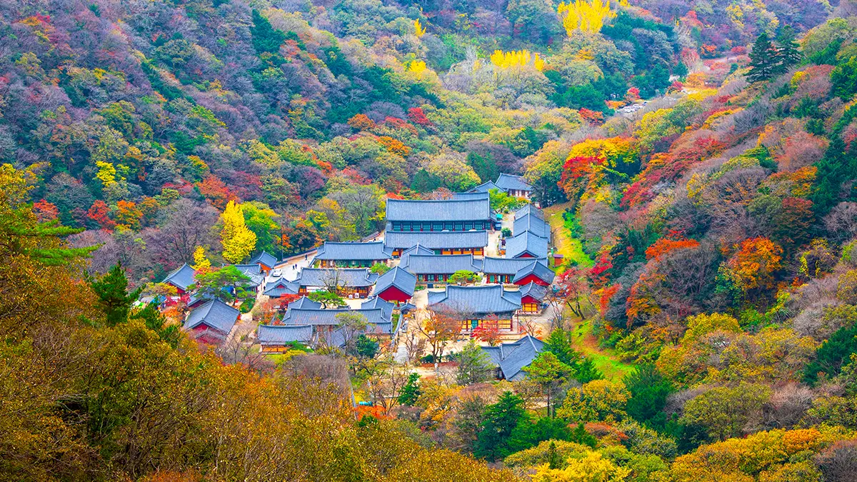 장성 백암산 백양사 항공사진
