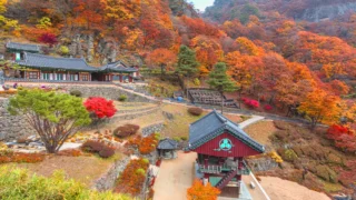 봉화 청량사 단풍