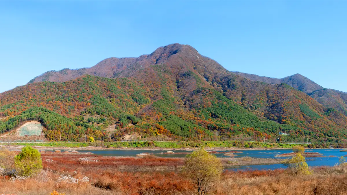 보령 아미산 보령 아미산
