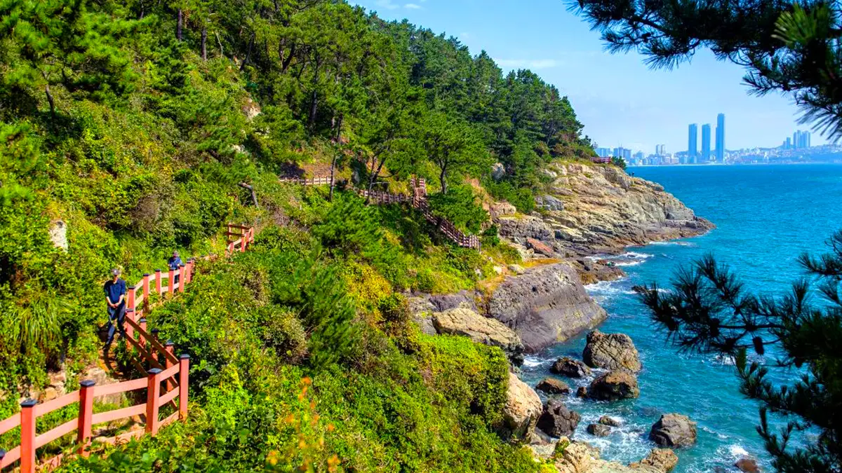 이기대 해안산책로 전경