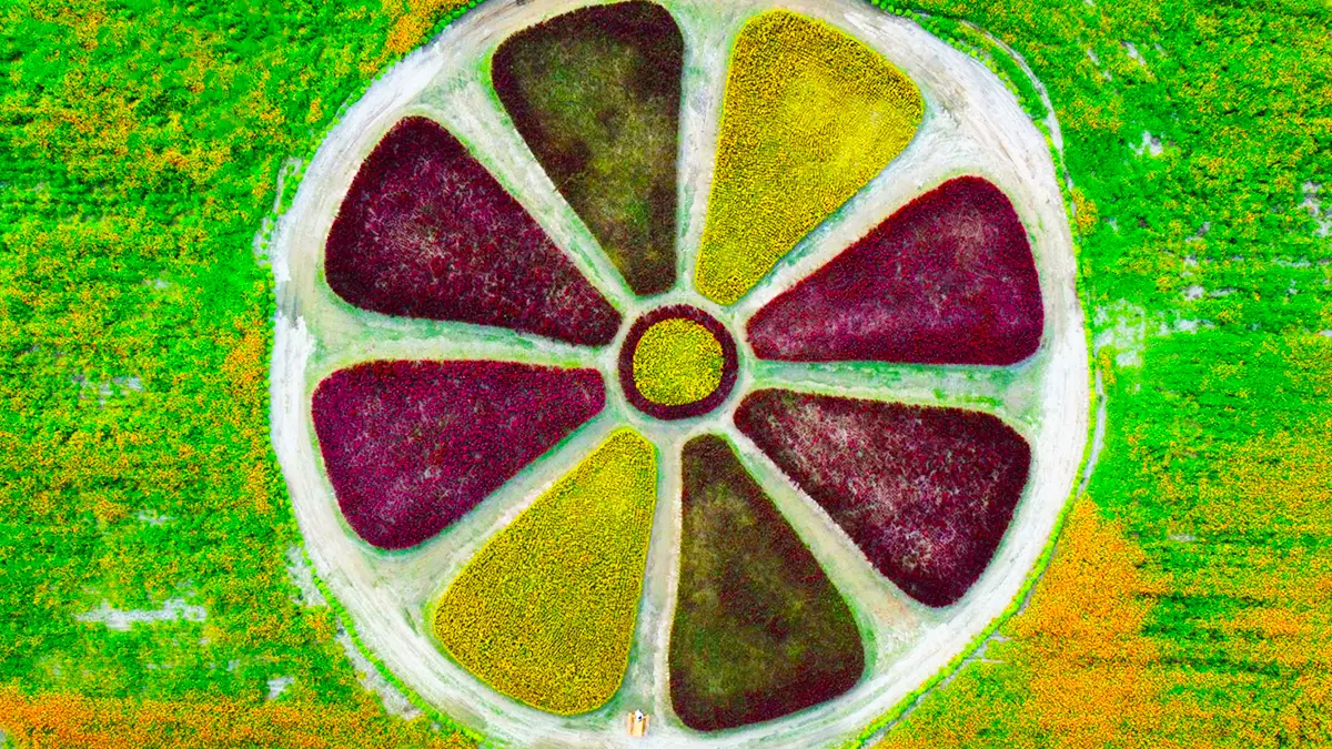 부여 백마강 부여 백마강