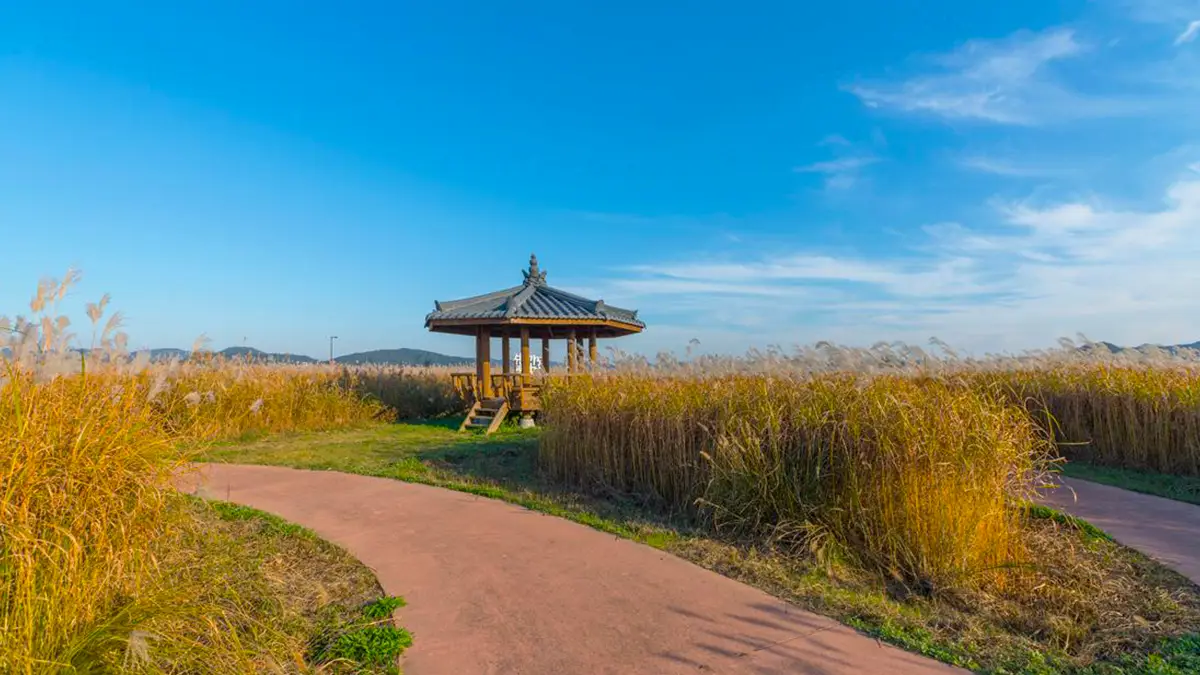 부여 나래공원 부여 나래공원