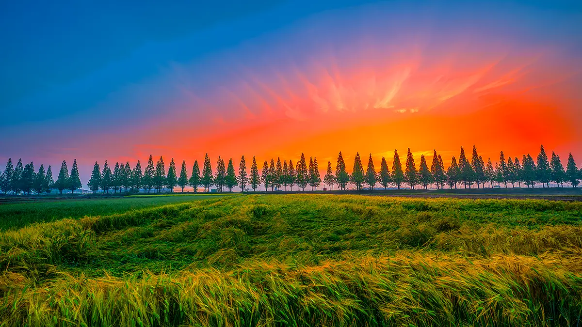 창원 죽동마을 노을 창원 죽동마을 노을