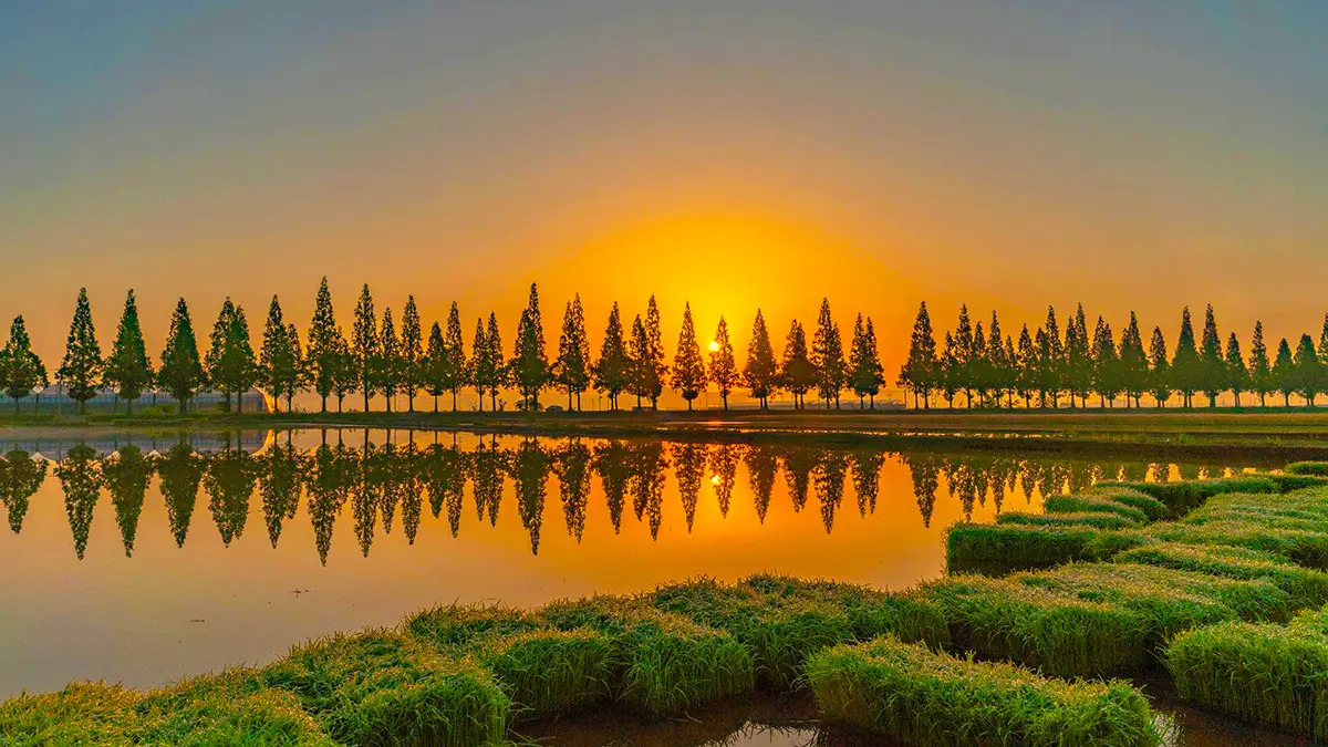 죽동마을 노을 죽동마을 노을